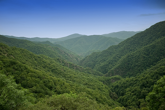 Untouched nature: View from Yerits Mankunk monastery