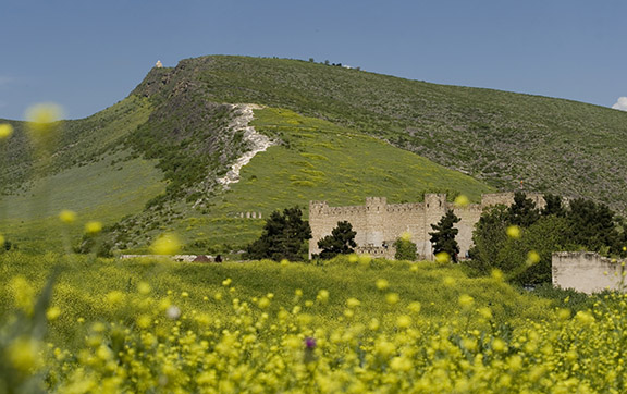 The fortress of Tigranakert