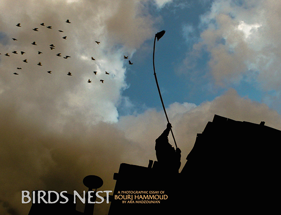 Ara Madzounian's "Birds Nest" cover