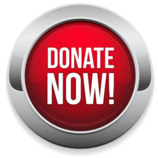 ANCA Donation Button