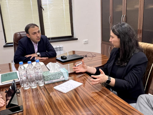 ANCA Government Affairs Director Tereza Yerimyan discusses Artsakh security and the effects of ongoing Azerbaijani aggression with Gegham Stepanyan, the Artsakh Republic Human Rights Ombudsman.